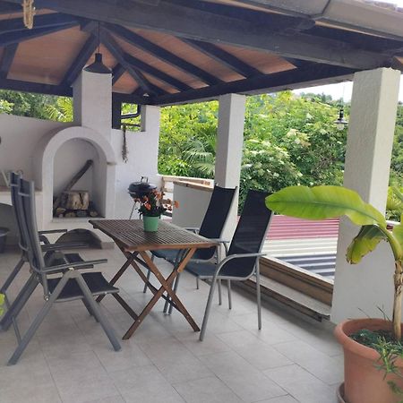 Apartma Salvia-Guest House 路次亚 外观 照片