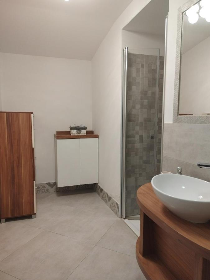 Apartma Salvia-Guest House 路次亚 外观 照片