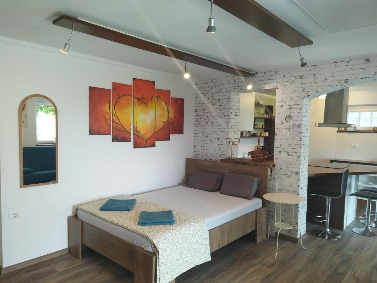 Apartma Salvia-Guest House 路次亚 外观 照片