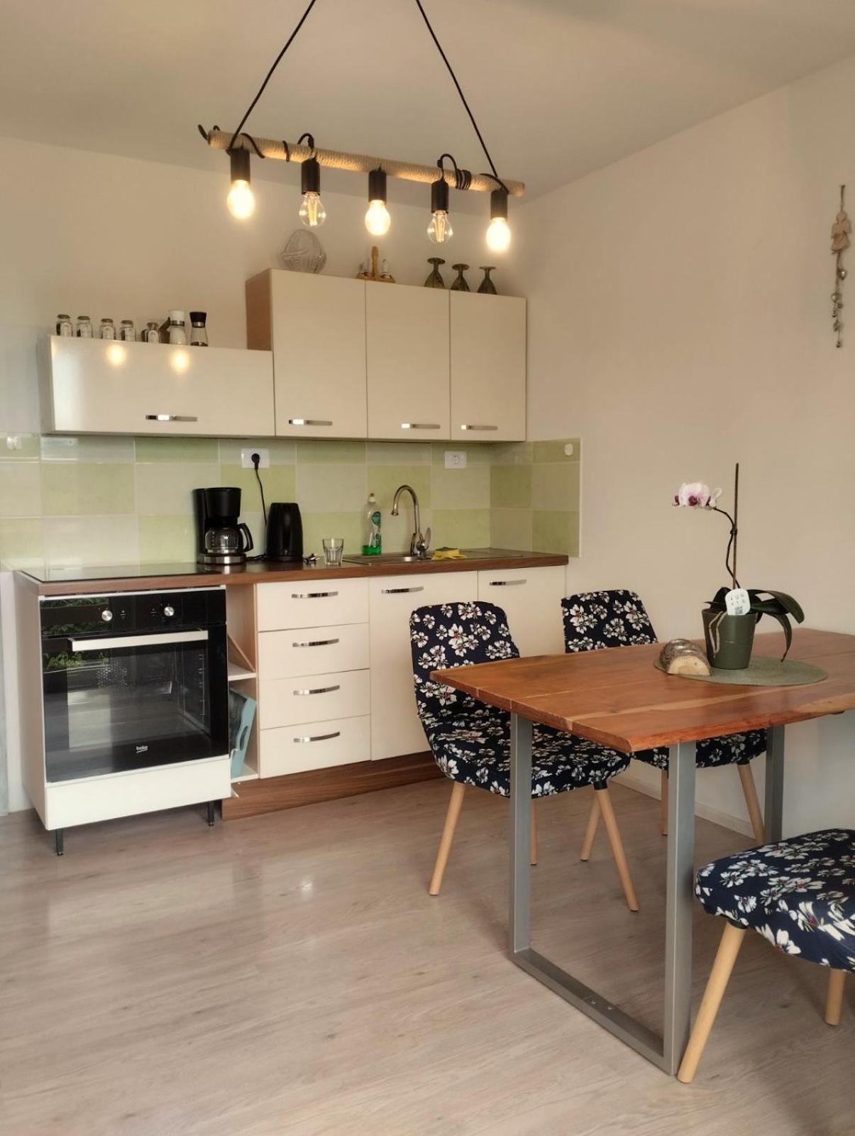 Apartma Salvia-Guest House 路次亚 外观 照片